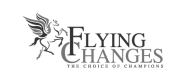 Flying Changes